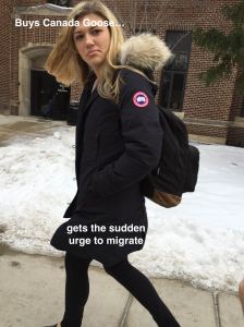 canada goose jackets expensive